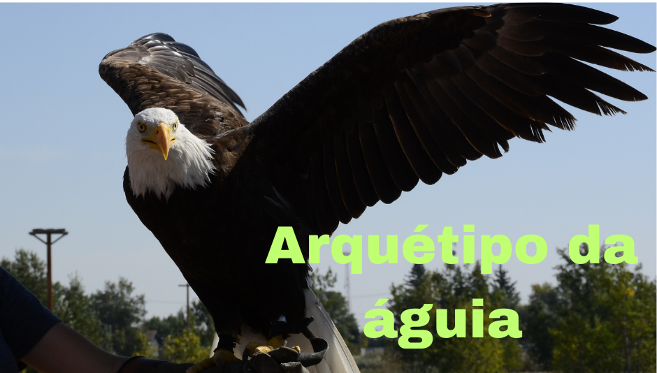 Como ativar o Arquétipo da águia